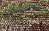 Eco.bin: muro ajardinado con piezas cerámicas