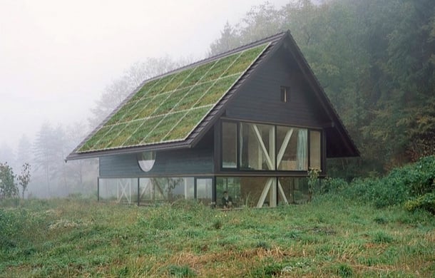 paneles solares hierba SolarSkin