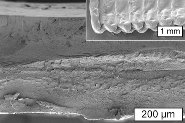 sección objeto producido por impresión 3D con celulosa