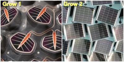 prototipos de hiedra fotovoltaica Grow1 y Grow2