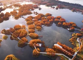 vista aérea general Fish Tail Park Nanchang