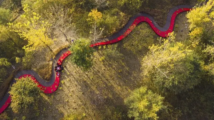 Red Ribbon Park